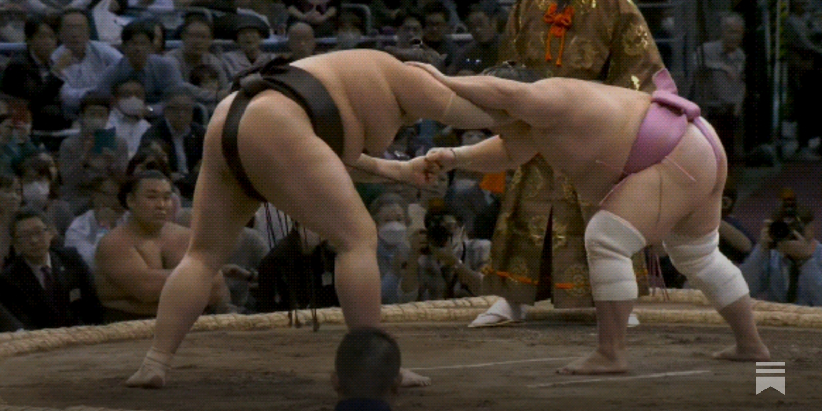 Poll: Who gets the Sumo Stomp! spotlight in January?