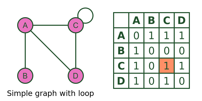 Simple graph wth loop Simple graph wth loop
