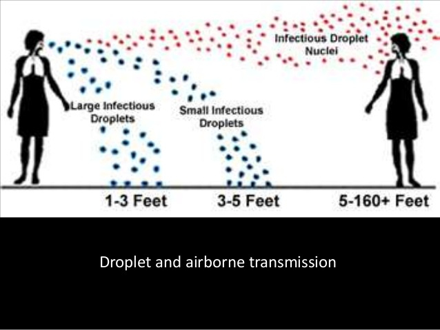 Ebola In The Air: What Science Says About How The Virus Spreads : Goats ...