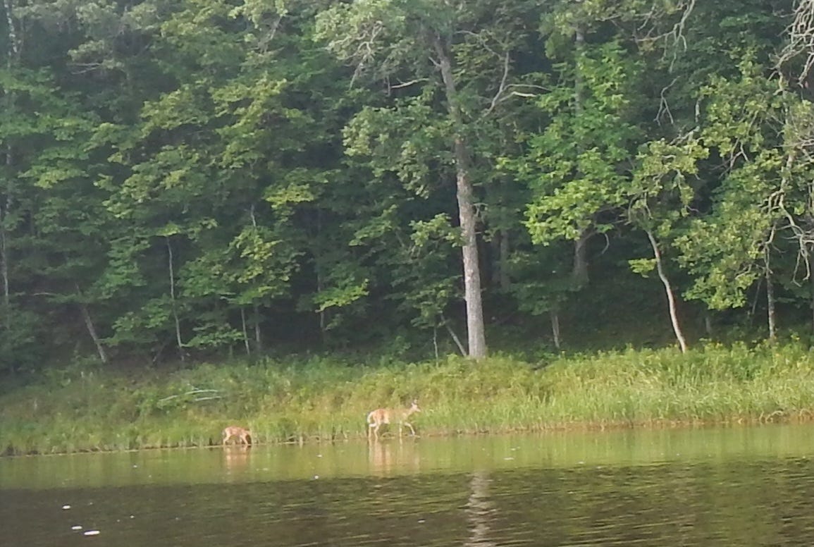 Notice the mother is still alive