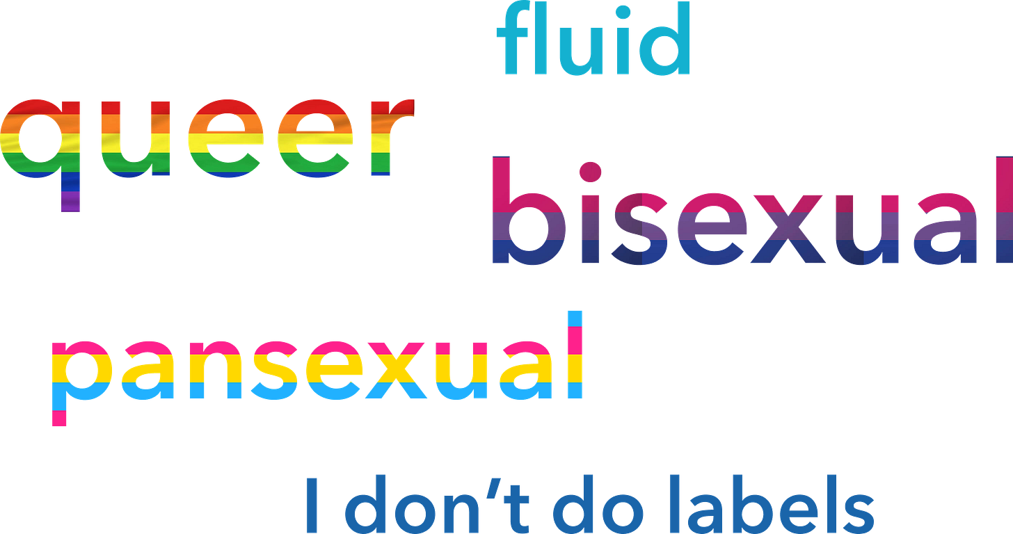 Words: fluid, queer, bisexual, pansexual, I don't do labels. Each one is coloured to reflect the pride flag associated with it.