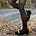 Joy Loftus's avatar