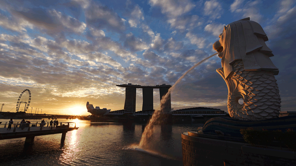 Life in Motion — Cepheus Chan Photography Life in Motion — Cepheus Chan Photography