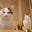 phon's avatar