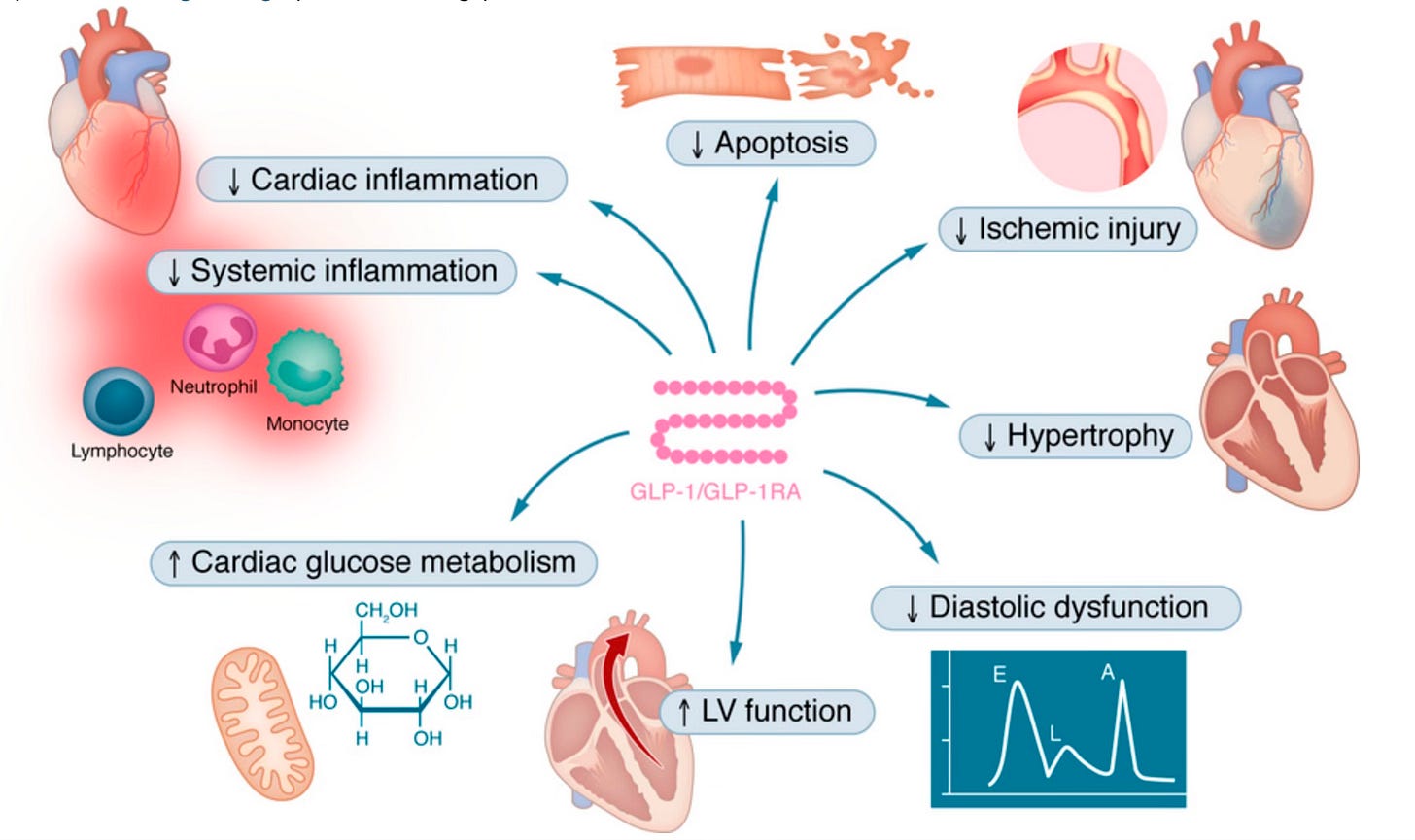 How Weight Loss Medications Prevent Heart Disease. How Weight Loss Medications Prevent Heart Disease.