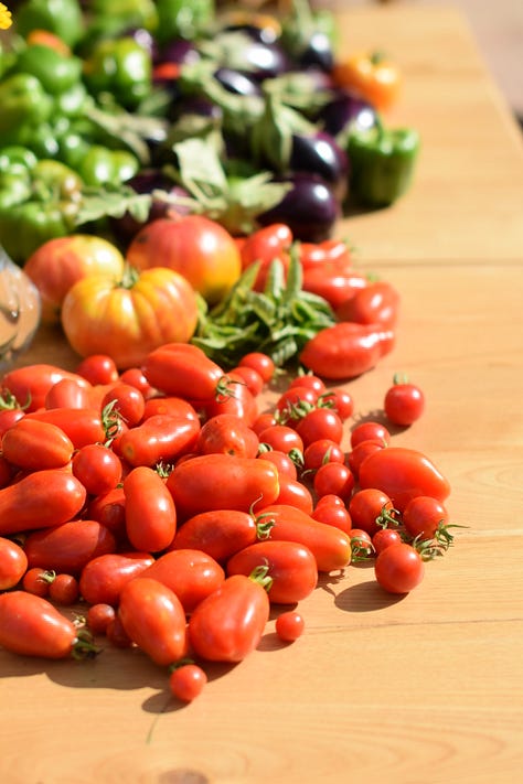 A series of six photos depicting food from Tuscany. Dishes include quiches, fresh fruits, tomatoes, a glass of wine, a pasta dish, and a female presenting person holding a plate of food. 