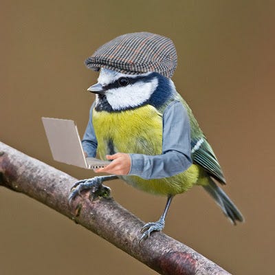 Substack profile picture for @borland