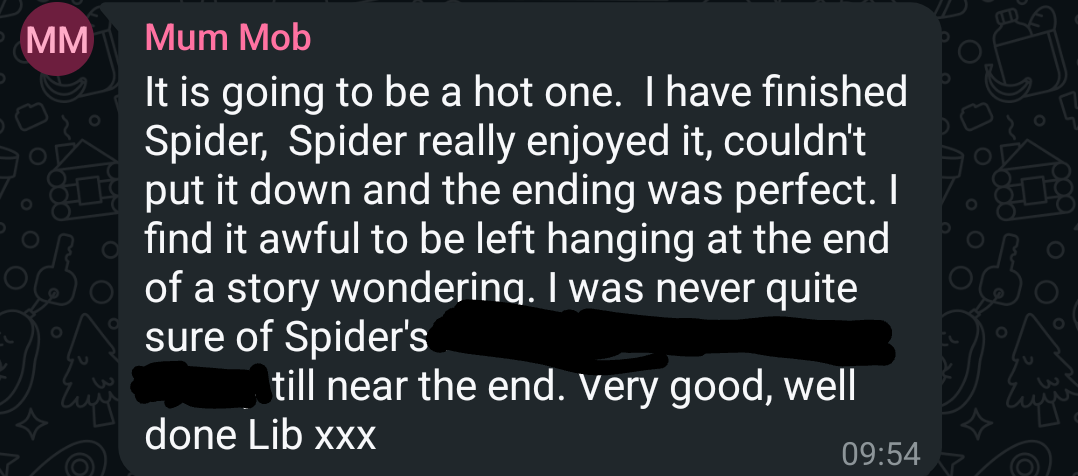 A text from Mum Mob saying she really enjoyed Spider, Spider and ending 'Very good, well done Lib xxx'