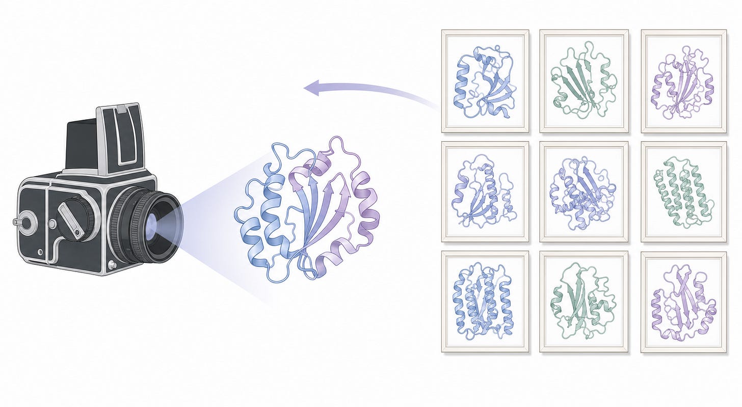 BioRender-style illustration of AI protein models as cameras trained on a gallery of frozen structural portraits. BioRender-style illustration of AI protein models as cameras trained on a gallery of frozen structural portraits.