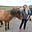 Jennifer Mattson's avatar