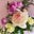 Blooming Calamity's avatar