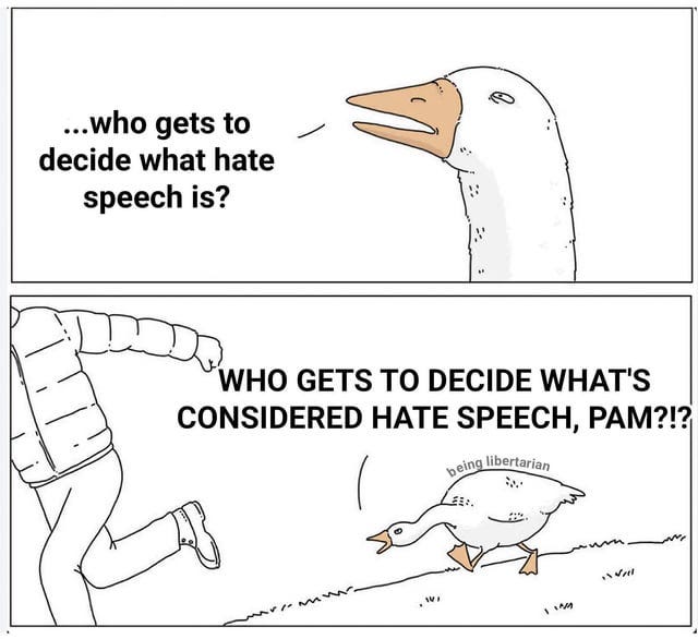 r/libertarianmeme - She’ll make “Free Palestine” hate speech