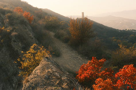 Are this pictures perfect if we do not compare of