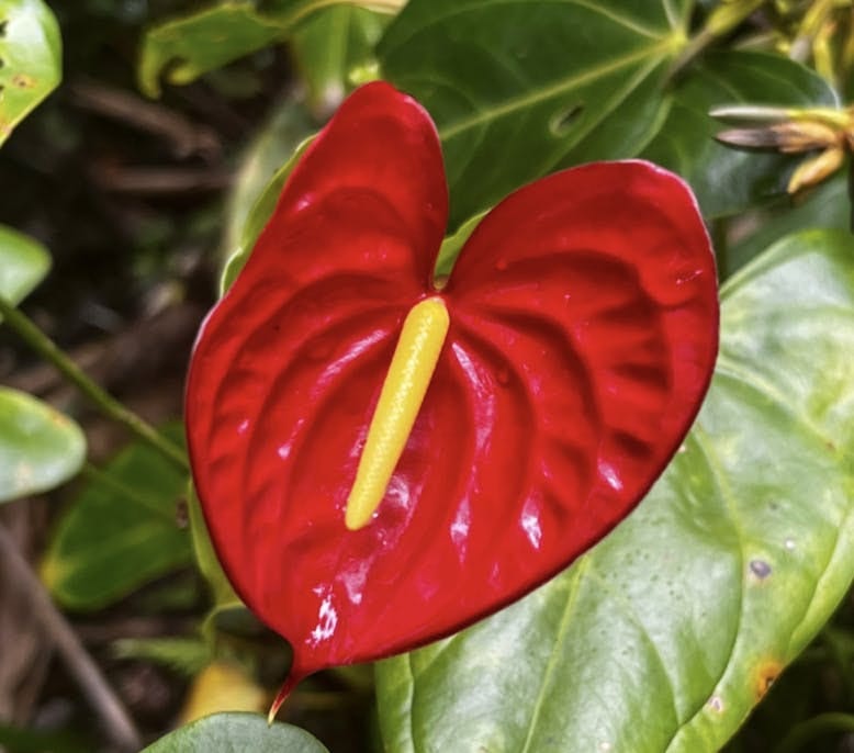 035: To Be, Or Not to Be... 035: To Be, Or Not to Be...