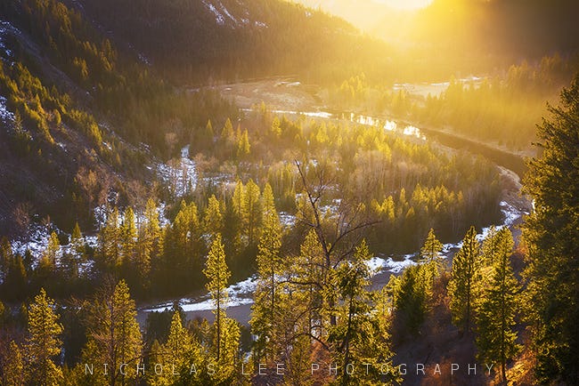 sun dappled