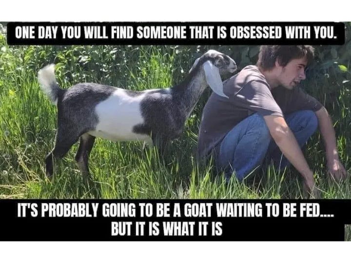 Day Brighteners (or not)