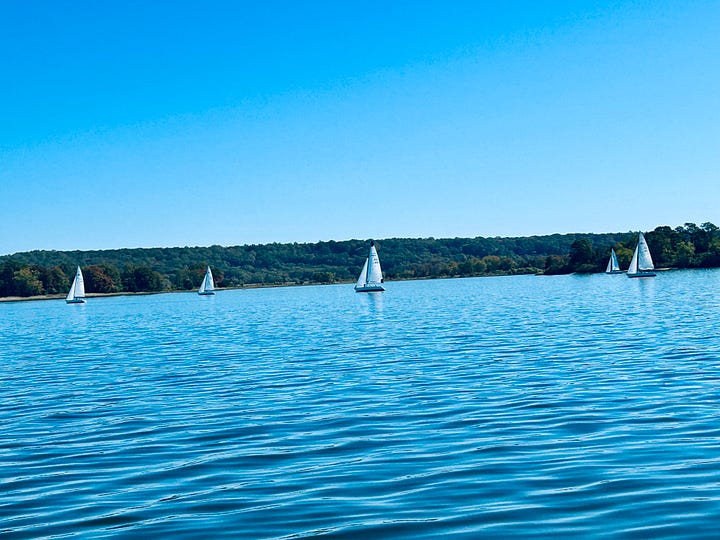 cruise, boat, water, sky, land