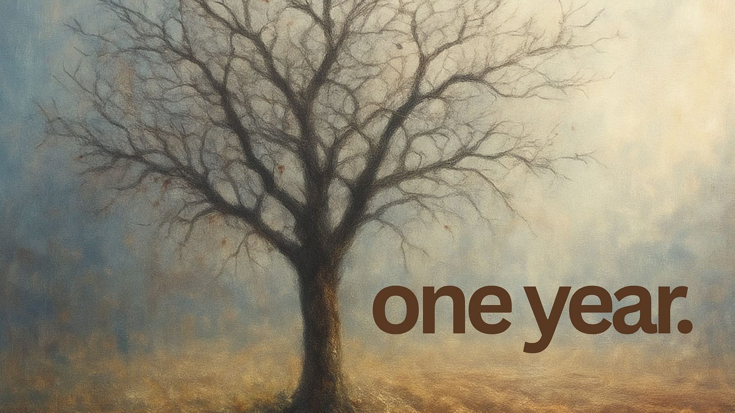 A lone barren fig tree stands in freshly tilled soil, surrounded by dead leaves and soft, misty light, evoking quiet judgment and expectation.