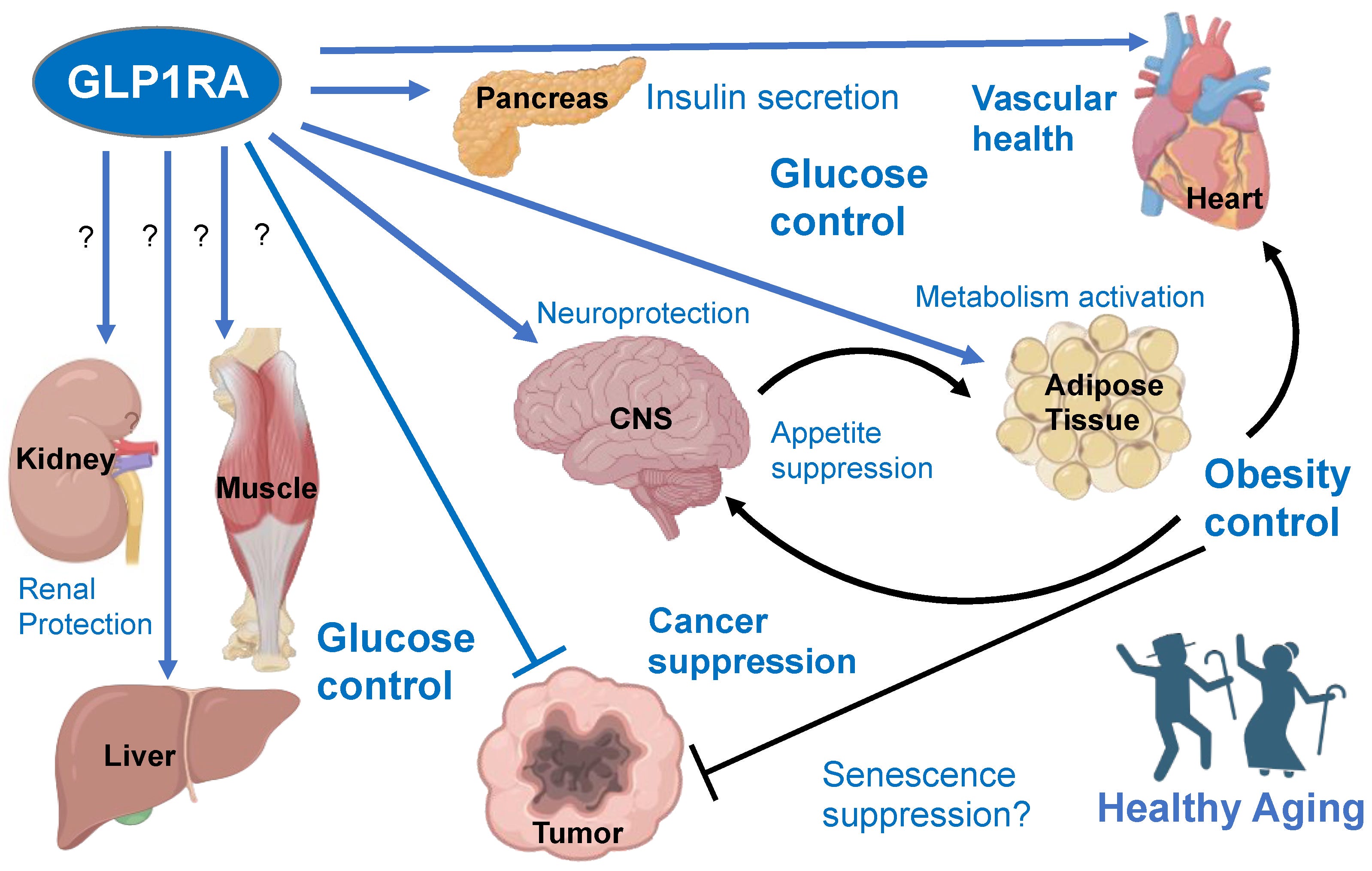 glp 1 effectiveness GLP-1 Medications Infographic