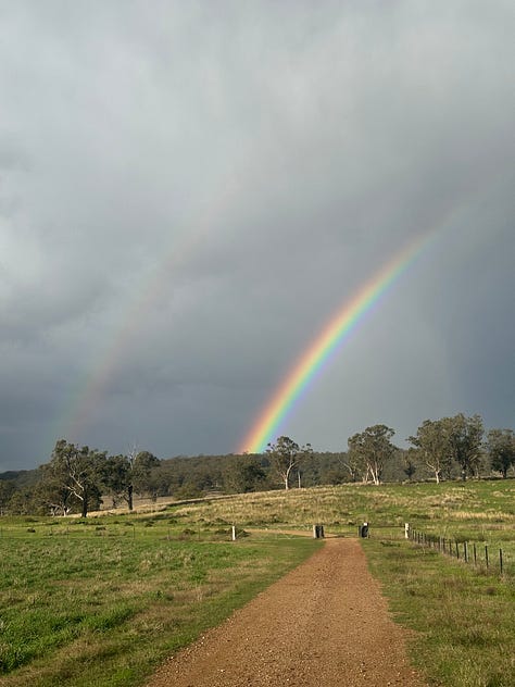 Some beautiful rainbows and sunsets in the valley, some quality winding down time with the pumpkins and the poor pumpkin that grew through the fence and needed to be surgically removed 🥹