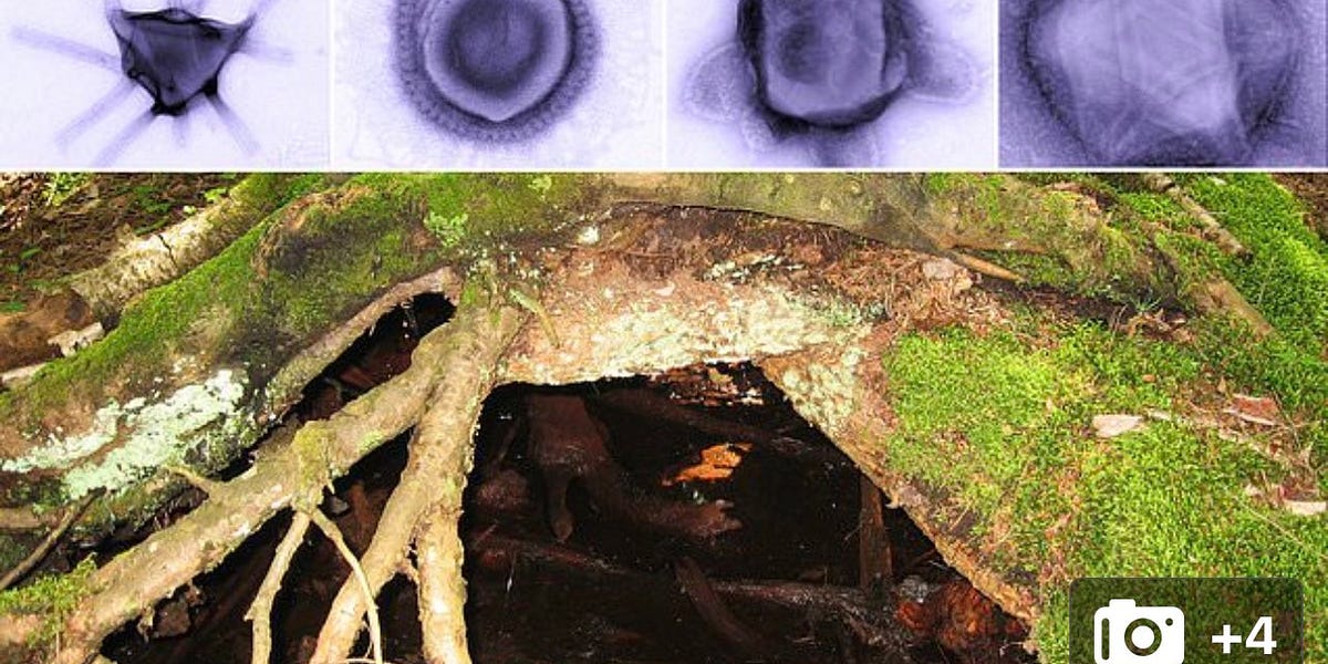 PROPAGANDA - You need to be a bit more terrified!