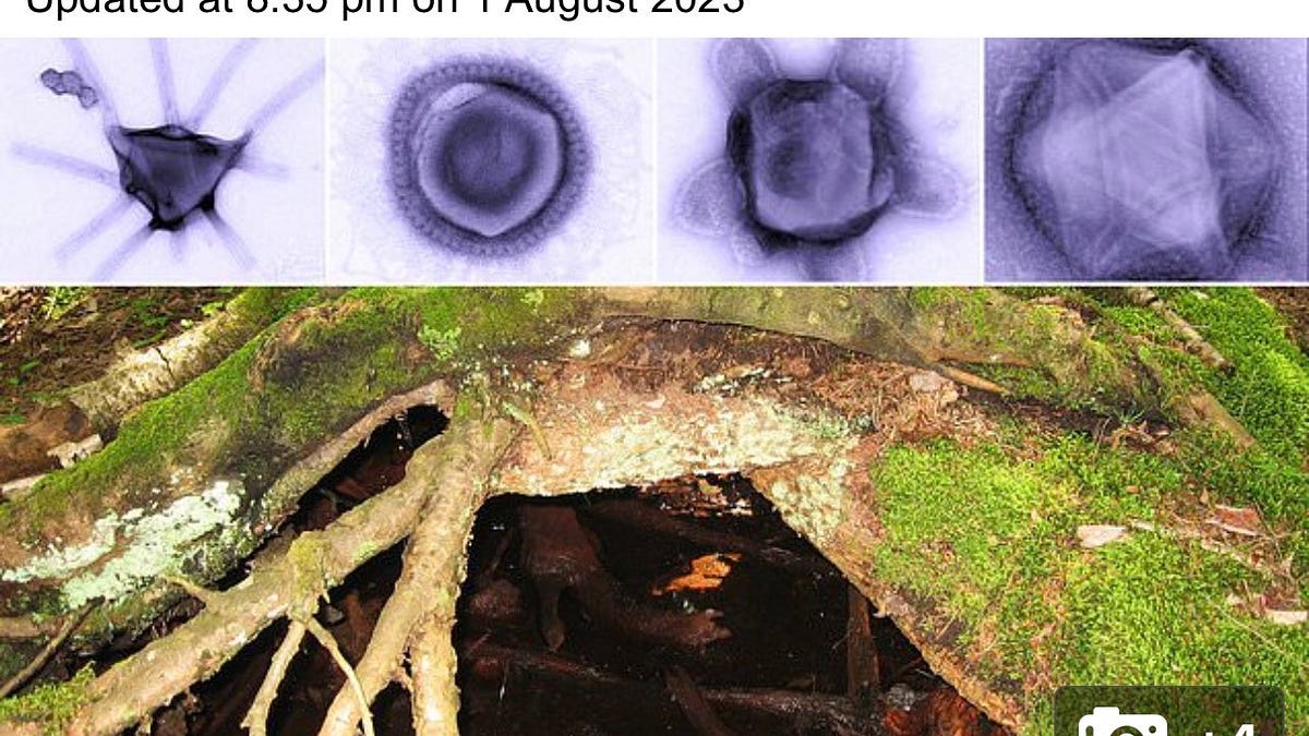 PROPAGANDA - You need to be a bit more terrified!