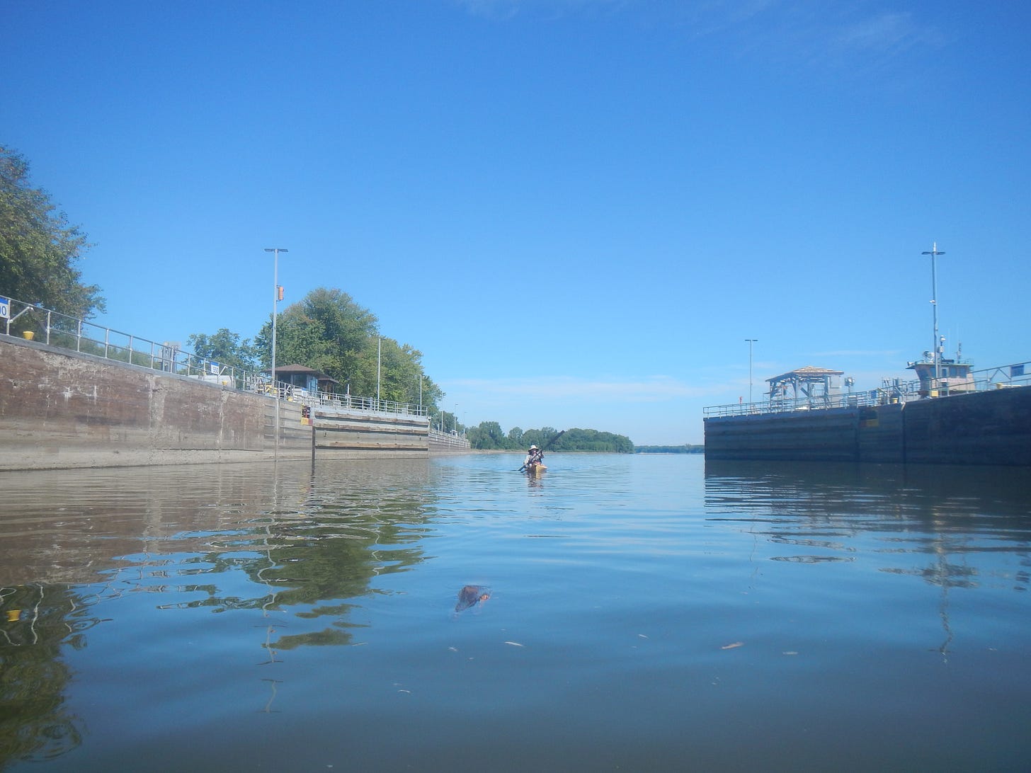 At least she didn't lose her hat