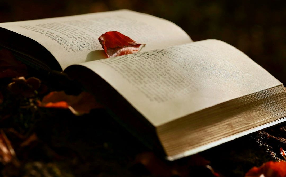 a book open with a butterfly on top of it a book open with a butterfly on top of it