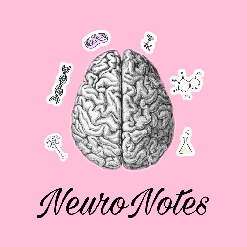 anna capstick | neuronotes