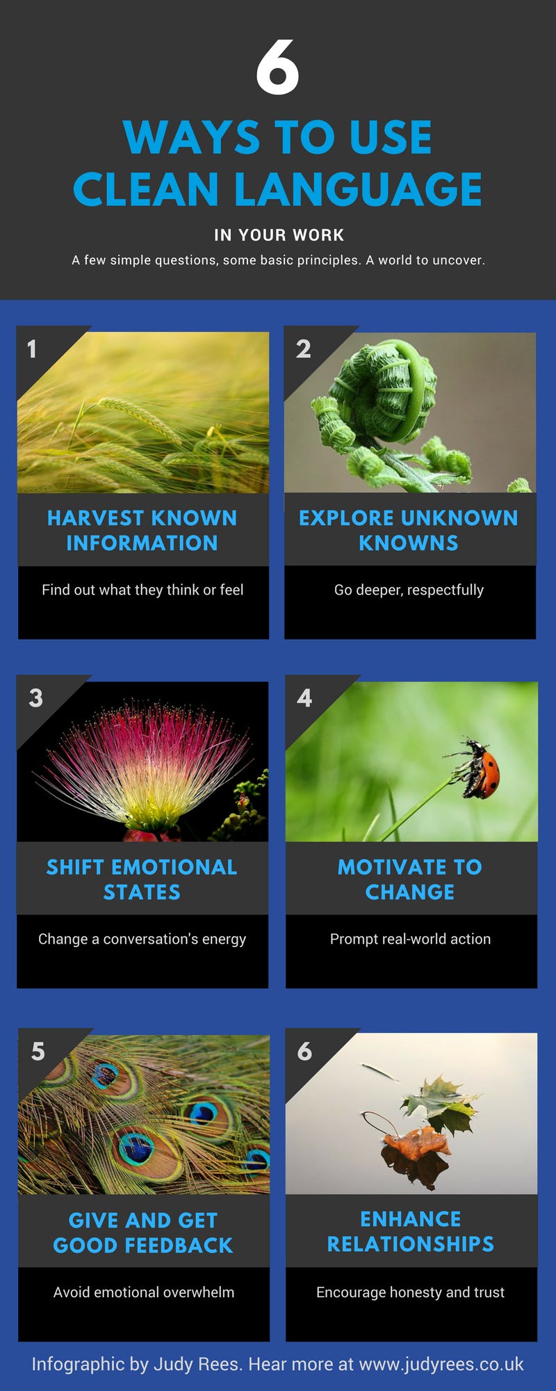 Six Ways To Use Clean Language In Your Work – A Clean Language Infographic