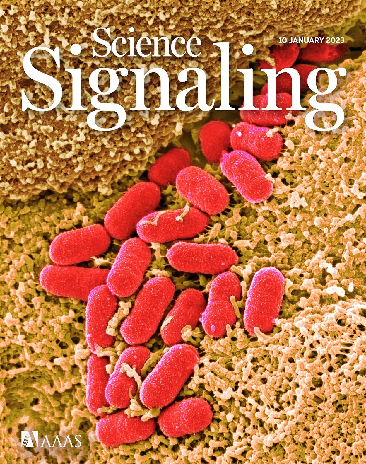 Go to Science Signaling 