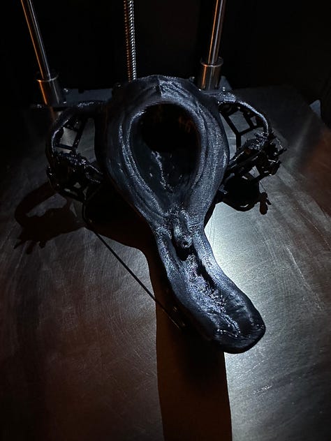 A custom 3D printer designed to look like solar punk, with black 3D printed anatomy models of reproductive organs.