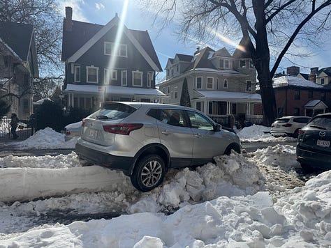 Images from Michael Stewart's run around Prospect Park Brooklyn, New York