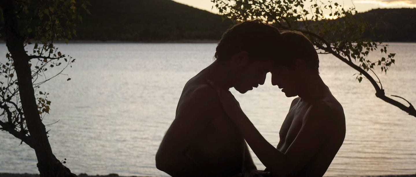 Two shirtless men face each other closely in silhouette at the edge of a lake, framed by tree branches at dusk.