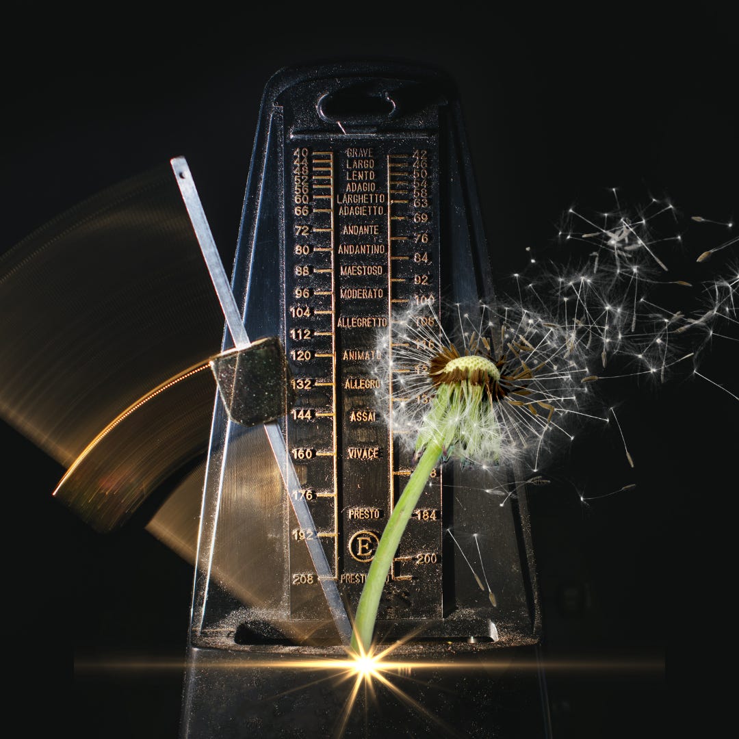 A metronome is in partial swing. On one side is a dandedlion with its seeds blowing away. 
