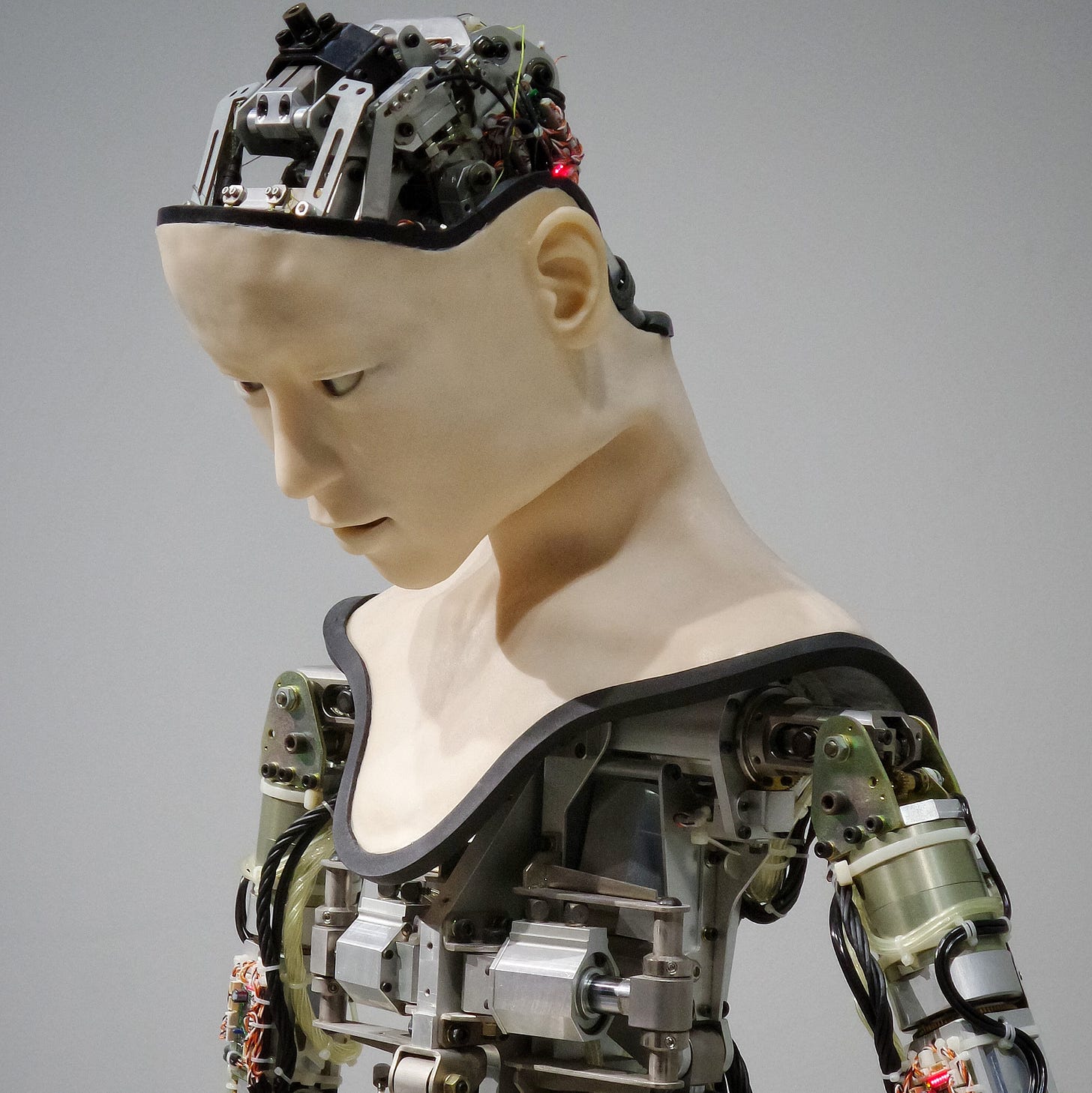 Me, wondering if I will ever get a robot to make me waffles.