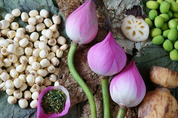 USE IT ALL Every part of Lotus is edible USE IT ALL Every part of Lotus is edible