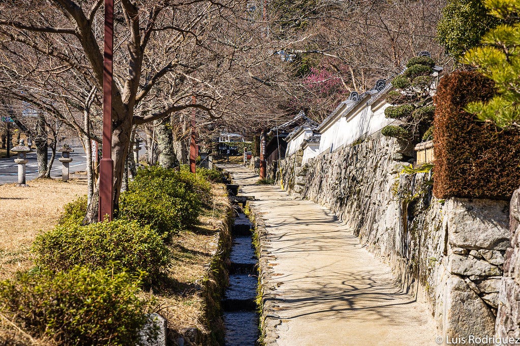 Paseando por Sakamoto