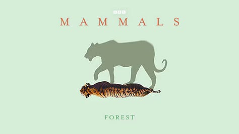 Mammals series: BBC Studios