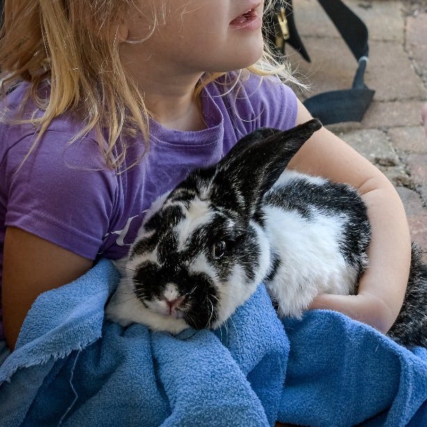 A girl holding a bunny