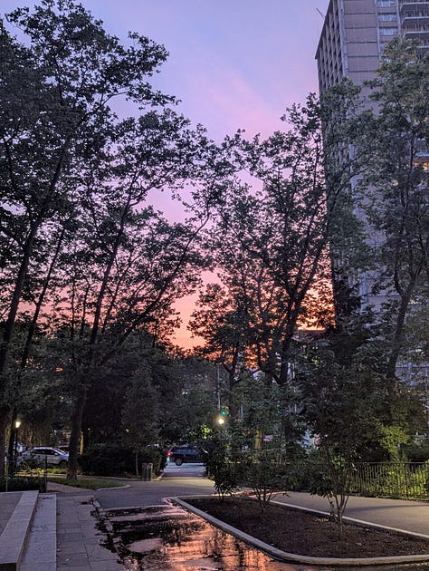 Cadman Plaza Park.