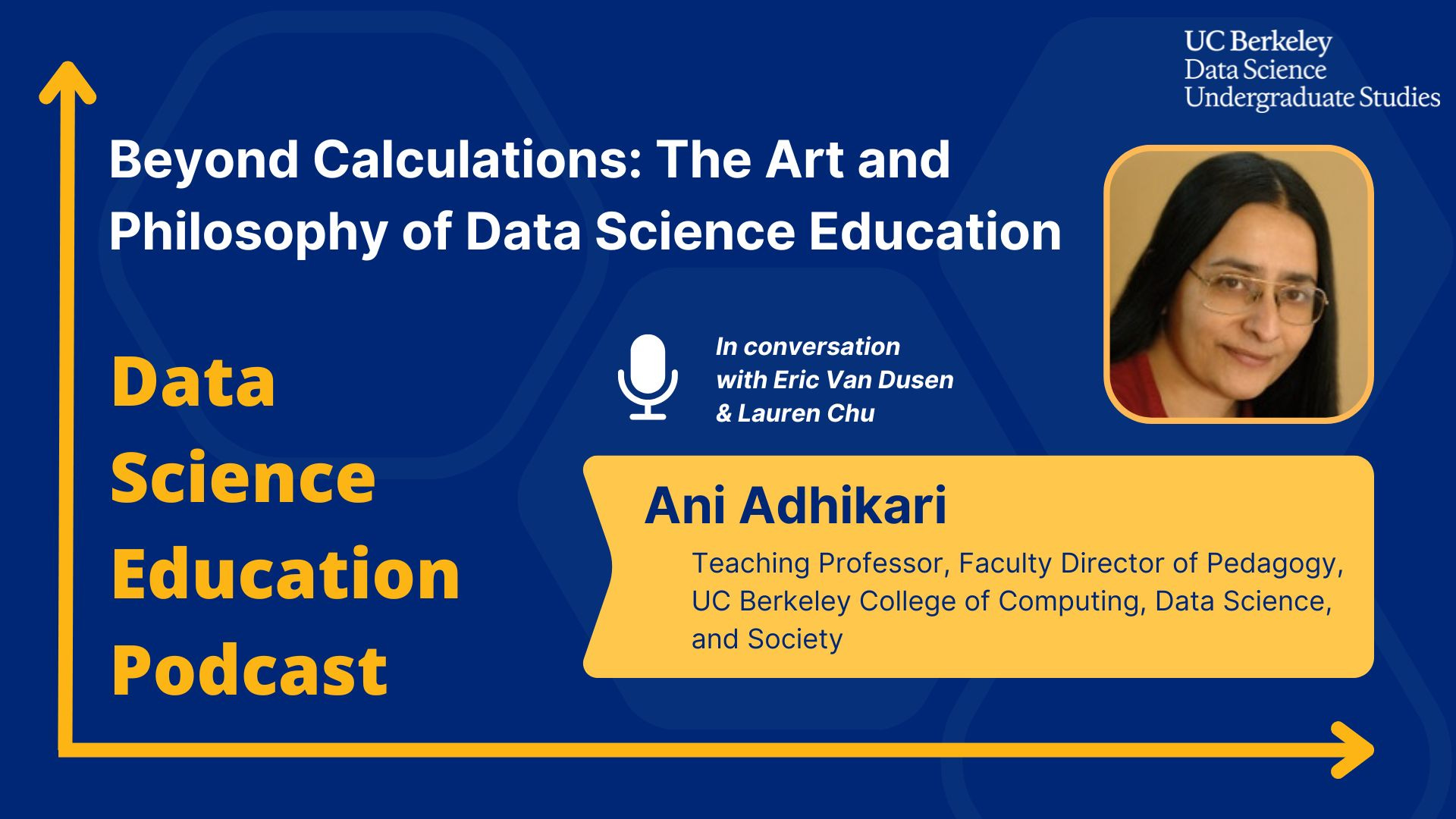 Beyond Calculations: Ani Adhikari on the Art and Philosophy of Data ...