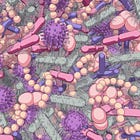 The microbiome costs of 2020 lockdown in infants