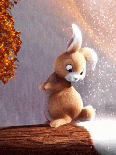 Cute bunny looking back and shaking tail