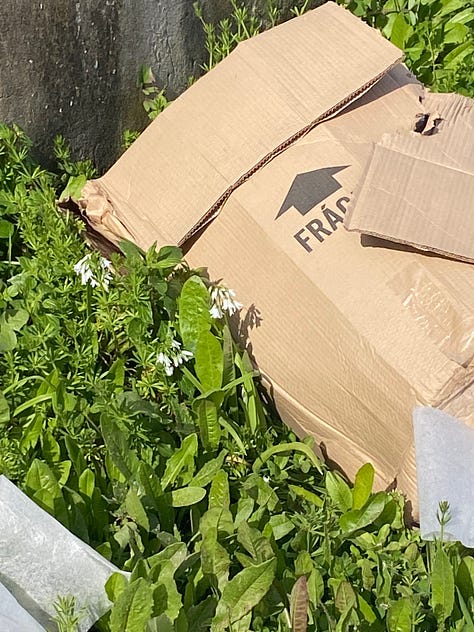 series of images of local neighbourhood in Vila Nova de Gaia