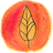 Campo Visual