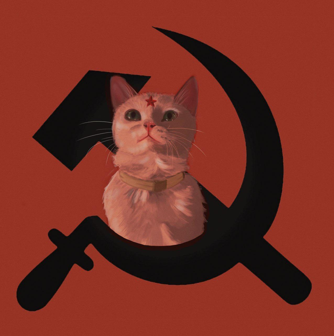Soviet Cat Blank Template - Imgflip