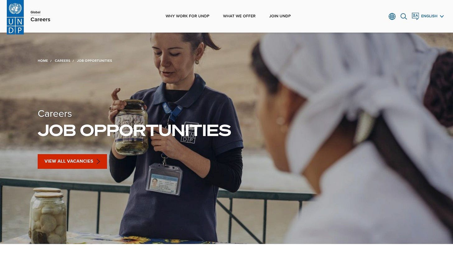 UNDP Careers – Job Opportunities (Official)