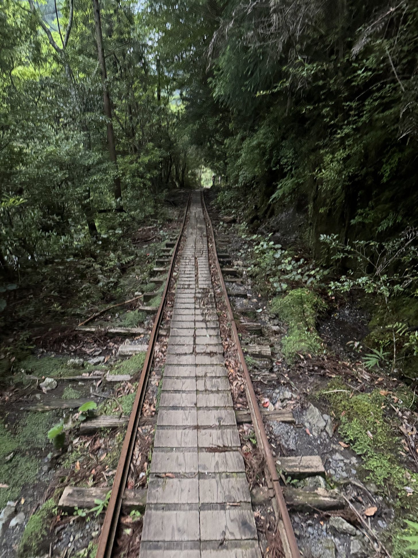 長いトロッコ道 長いトロッコ道