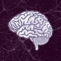 Spiritual Neuroscientist's avatar